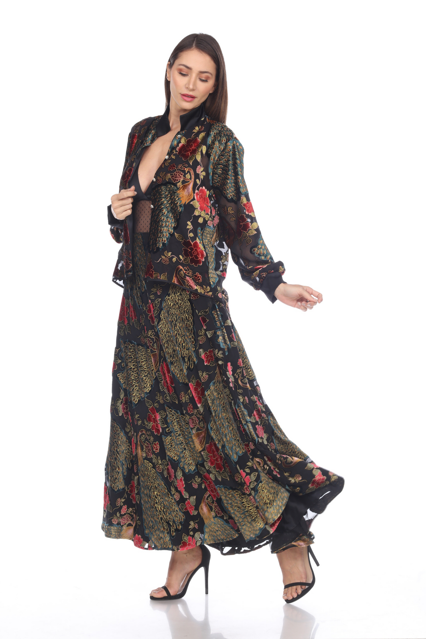 Peacock Mesh Dress